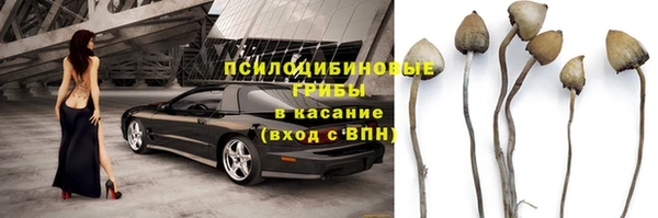 а пвп мука Верхний Тагил