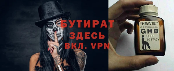 шишки Верея