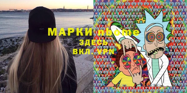 шишки Верея