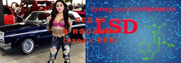 шишки Верея