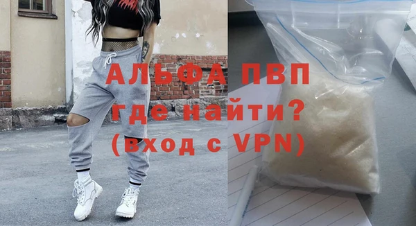 шишки Верея