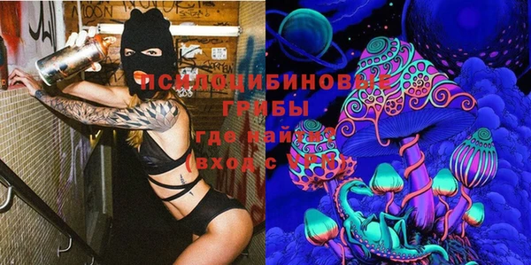 шишки Верея