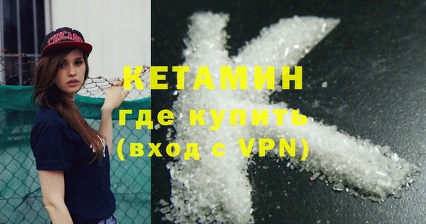 шишки Верея