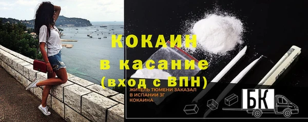 шишки Верея