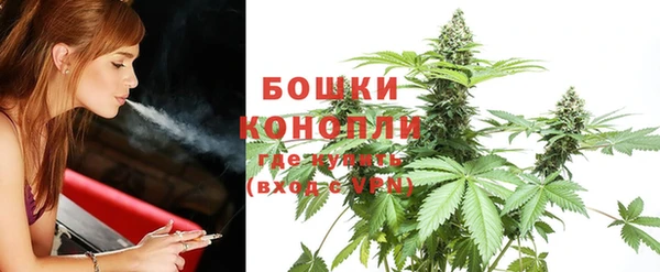 шишки Верея