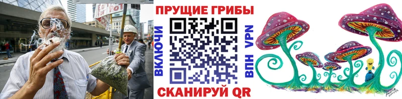 Псилоцибиновые грибы MAGIC MUSHROOMS  блэк спрут как зайти  Электросталь  где найти  